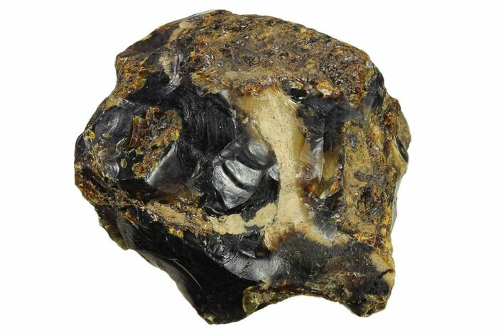 3.1" Rough Blue Indonesian Amber - West Java, Indonesia